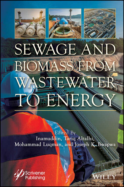 Book cover of Sewage and Biomass from Wastewater to Energy: Possibilities and Technology