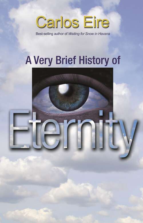 Book cover of A Very Brief History of Eternity (PDF)