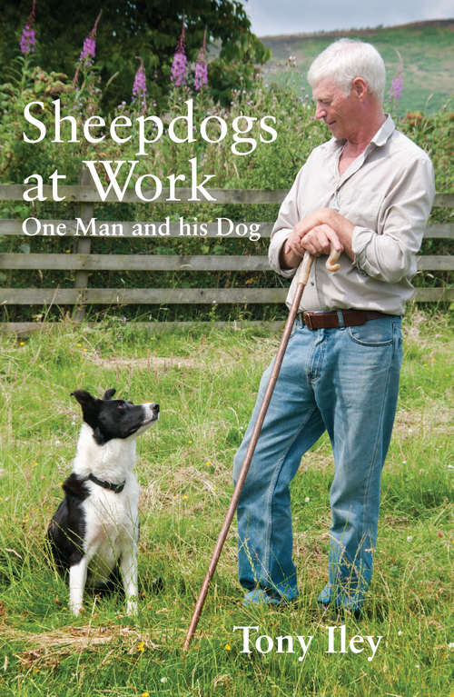 Book cover of Sheepdogs at Work: One Man and His Dogs