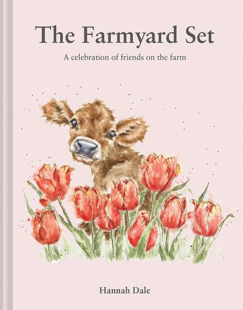 Book cover of The Farmyard Set: A celebration of friends on the farm (Hannah Dale's Animals)