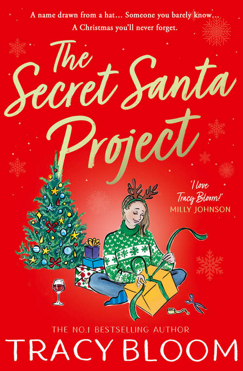 Book cover of The Secret Santa Project