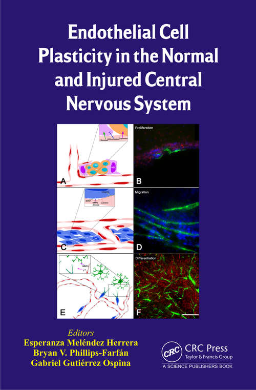 Book cover of Endothelial Cell Plasticity in the Normal and Injured Central Nervous System