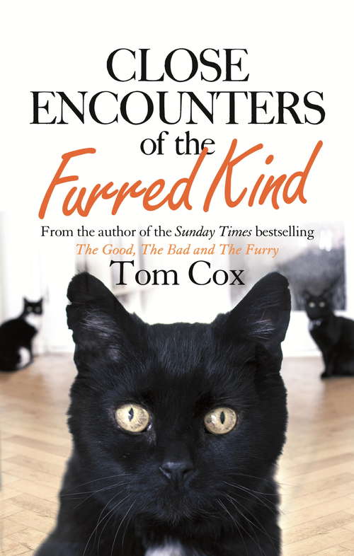 Book cover of Close Encounters of the Furred Kind: New Adventures With My Sad Cat And Other Feline Friends