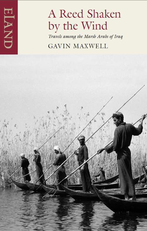 Book cover of A Reed Shaken by the Wind: Travels among the Marsh Arabs of Iraq