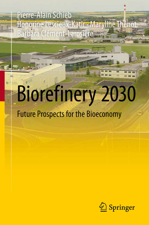 Book cover of Biorefinery 2030: Future Prospects for the Bioeconomy (2015)