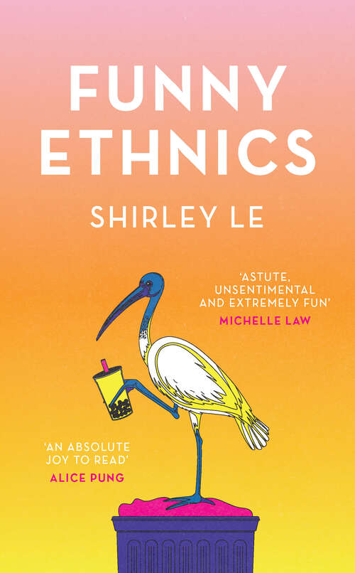 Book cover of Funny Ethnics