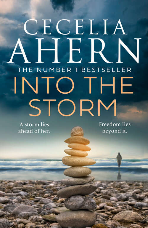 Book cover of Into the Storm