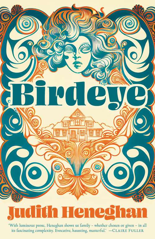 Book cover of Birdeye (Salt Modern Fiction)
