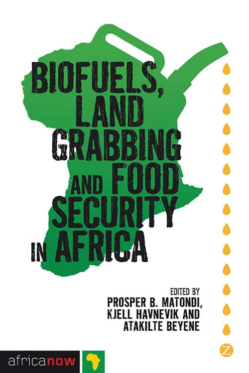 Book cover of Biofuels, Land Grabbing and Food Security in Africa (Africa Now)