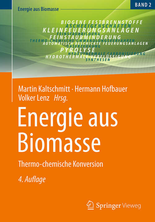 Book cover of Energie aus Biomasse: Thermo-chemische Konversion (4. Auflage 2024) (Energie aus Biomasse)
