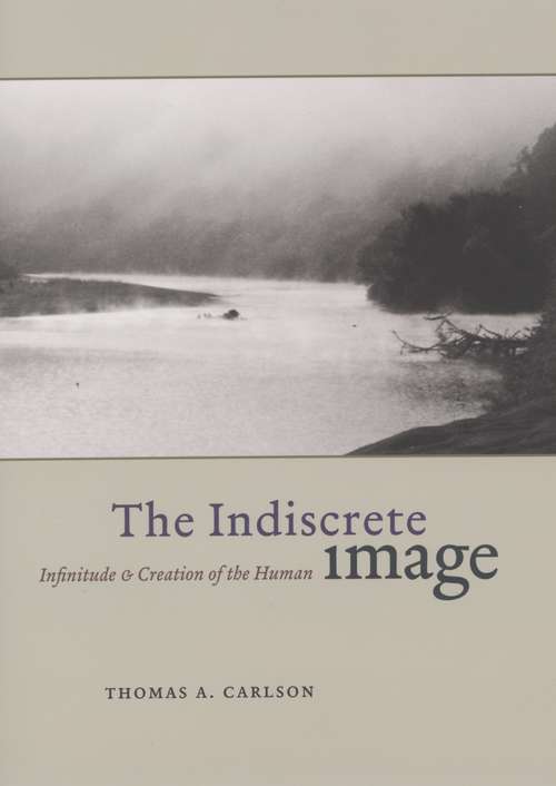 Book cover of The Indiscrete Image: Infinitude and Creation of the Human (Religion and Postmodernism)