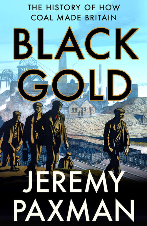 Book cover of Black Gold: The History Of How Coal Made Britain (ePub edition)