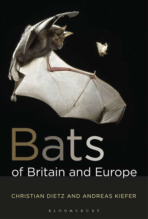 Book cover of Bats of Britain and Europe