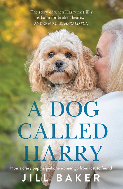 Book cover of A Dog Called Harry