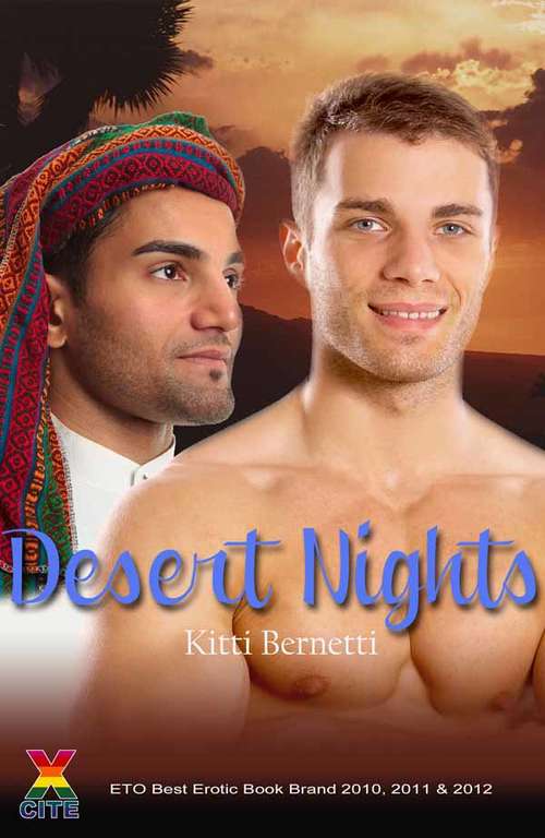 Book cover of Desert Nights: Gay erotic fiction