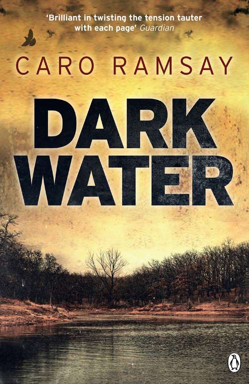Book cover of Dark Water: An Anderson and Costello Thriller (Anderson and Costello)