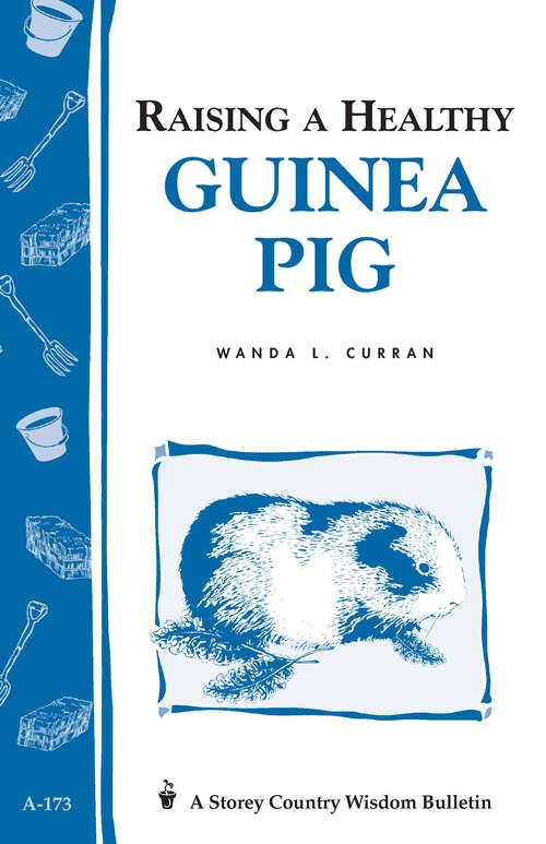 Book cover of Raising a Healthy Guinea Pig: Storey's Country Wisdom Bulletin A-173 (Storey Country Wisdom Bulletin)