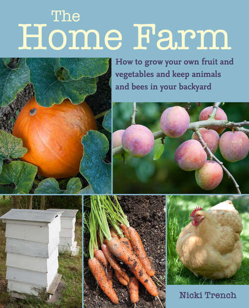 Book cover of The Home Farm