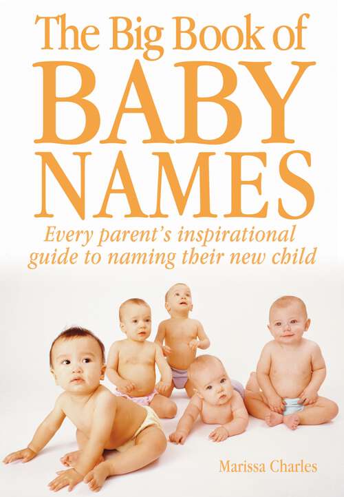 Book cover of The Big Book of Baby Names