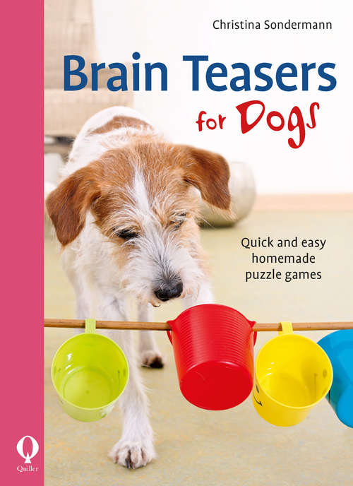 Book cover of Brain Teasers for Dogs: Quick and easy homemade puzzle games