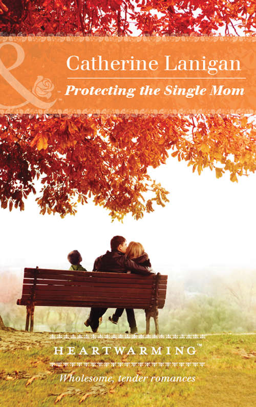 Book cover of Protecting The Single Mom: Love, Special Delivery Holding Out For A Hero Luke's Ride Protecting The Single Mom (ePub edition) (Shores of Indian Lake #7)