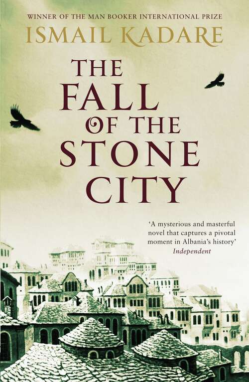 Book cover of The Fall of the Stone City