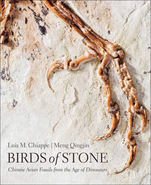 Book cover of Birds of Stone: Chinese Avian Fossils from the Age of Dinosaurs