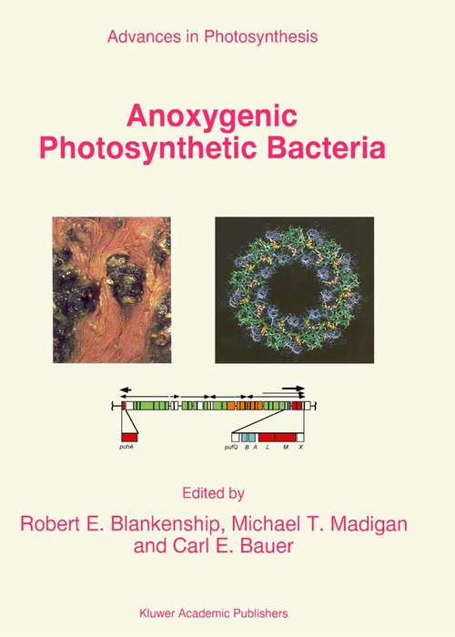 Book cover of Anoxygenic Photosynthetic Bacteria (1995) (Advances in Photosynthesis and Respiration #2)