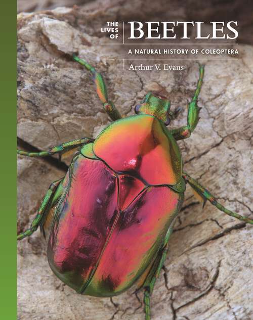 Book cover of The Lives of Beetles: A Natural History of Coleoptera (The Lives of the Natural World #3)