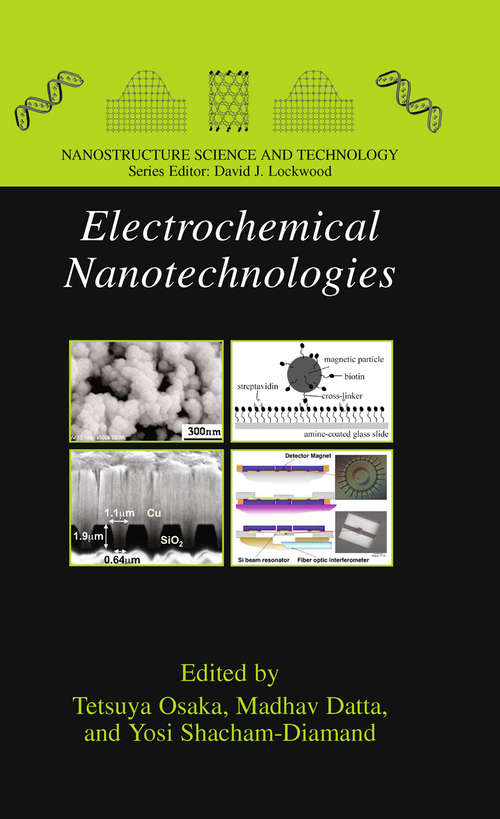 Book cover of Electrochemical Nanotechnologies (2010) (Nanostructure Science and Technology)