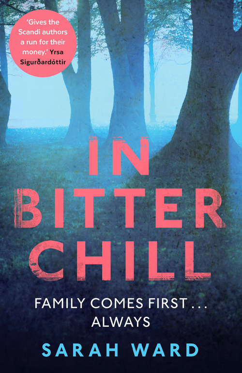 Book cover of In Bitter Chill (Main) (DC Childs mystery #3)