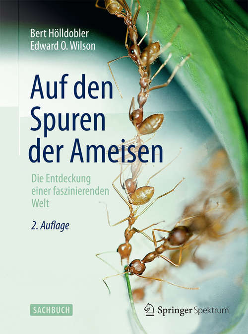 Book cover of Auf den Spuren der Ameisen: Die Entdeckung einer faszinierenden Welt (2. Aufl. 2013)