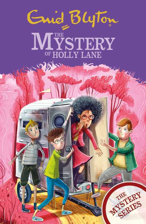 Book cover of The Mystery of Holly Lane: Book 11 (The Mystery Series #11)