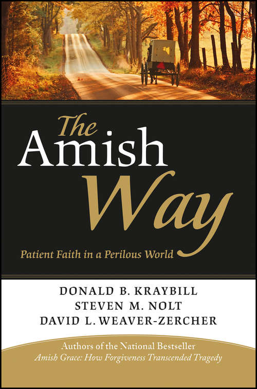 Book cover of The Amish Way: Patient Faith in a Perilous World