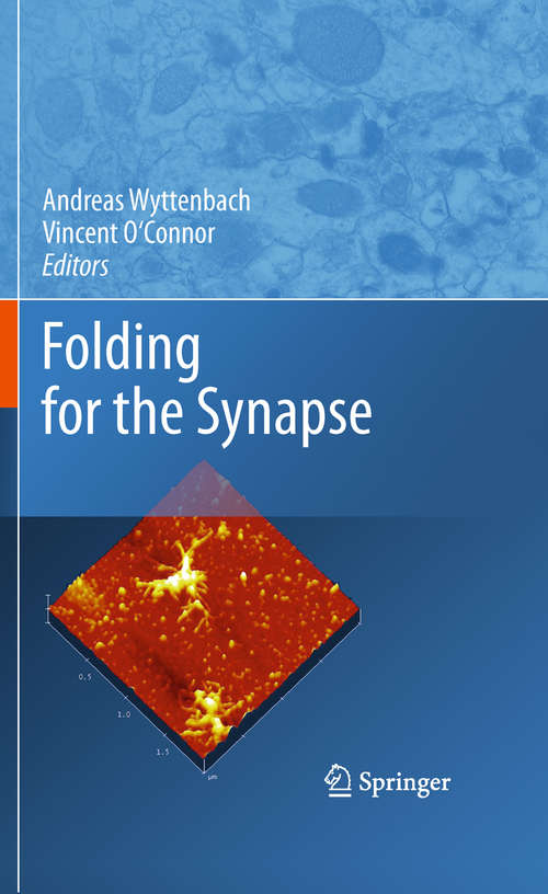 Book cover of Folding for the Synapse (2011)