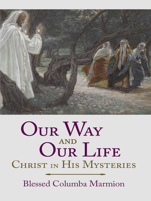 Book cover of Our Way and Our Life: Christ in His Mysteries