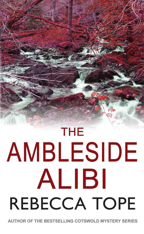 Book cover of The Ambleside Alibi: The Gripping English Cozy Crime Series (Lake District Mysteries #2)