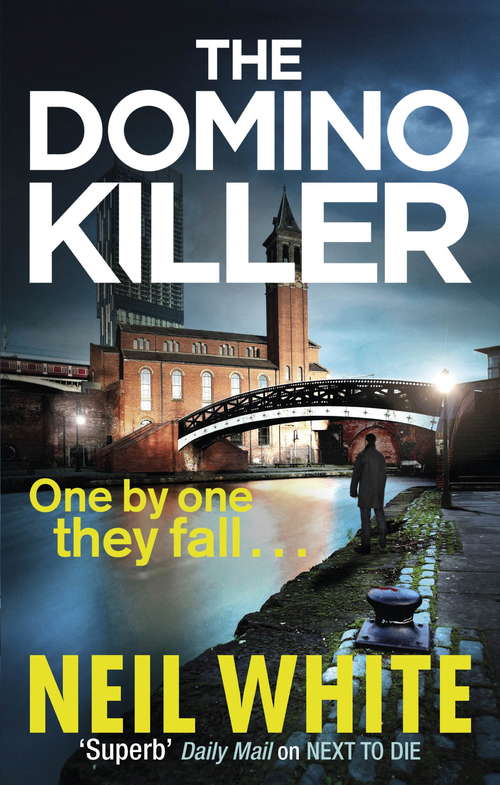 Book cover of The Domino Killer