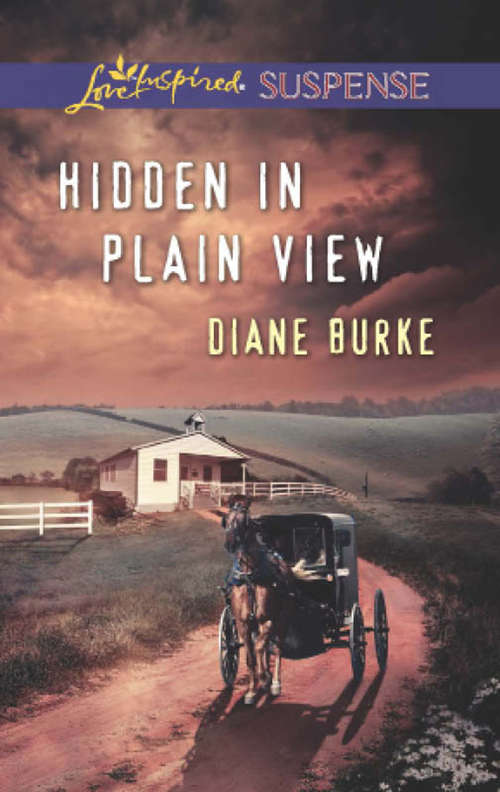 Book cover of Hidden in Plain View (ePub First edition) (Mills And Boon Love Inspired Suspense Ser.)
