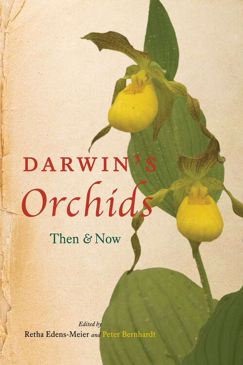 Book cover of Darwin's Orchids: Then and Now