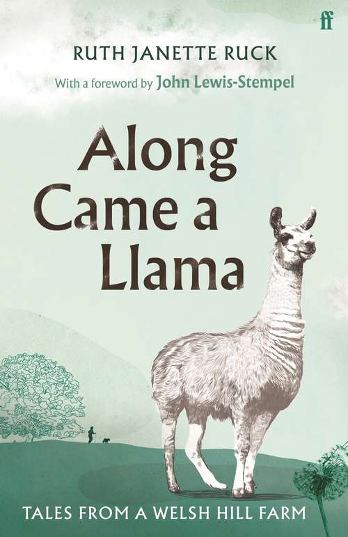Book cover of Along Came a Llama (Main)