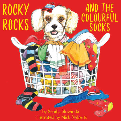 Book cover of Rocky Rocks and the Colourful Socks