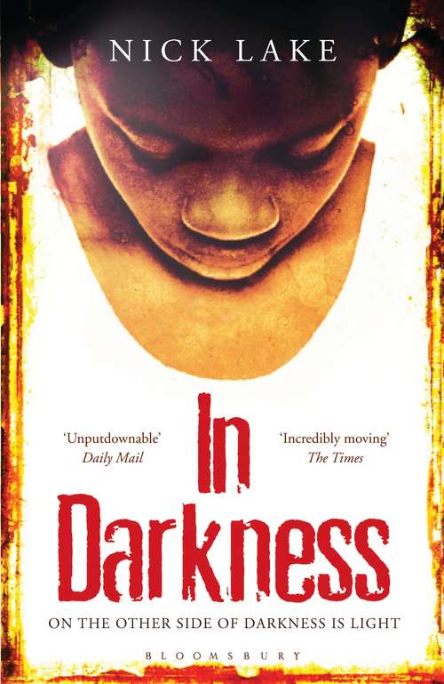 Book cover of In Darkness