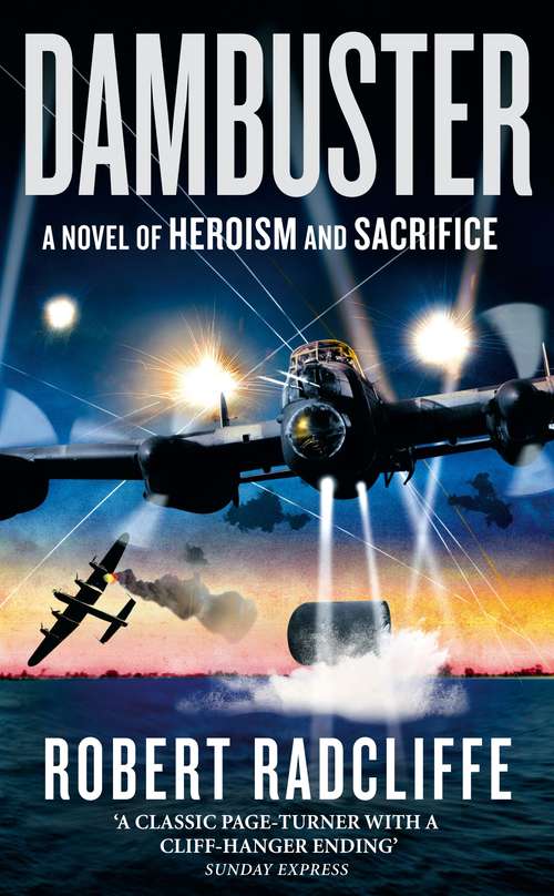 Book cover of Dambuster