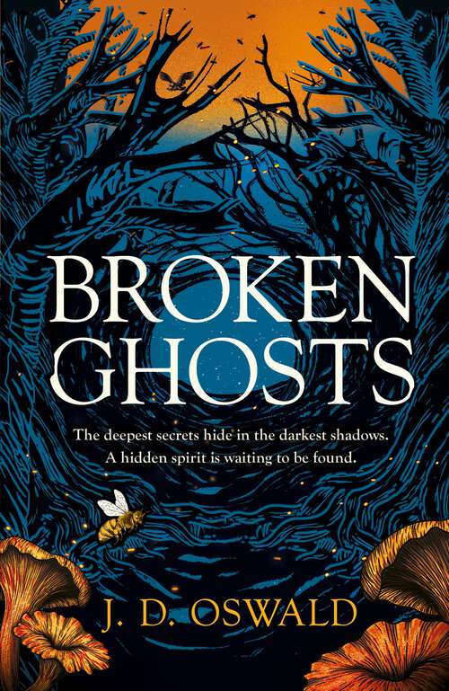 Book cover of Broken Ghosts: a haunting, gothic coming-of-age story from the bestselling author of the Inspector McLean series