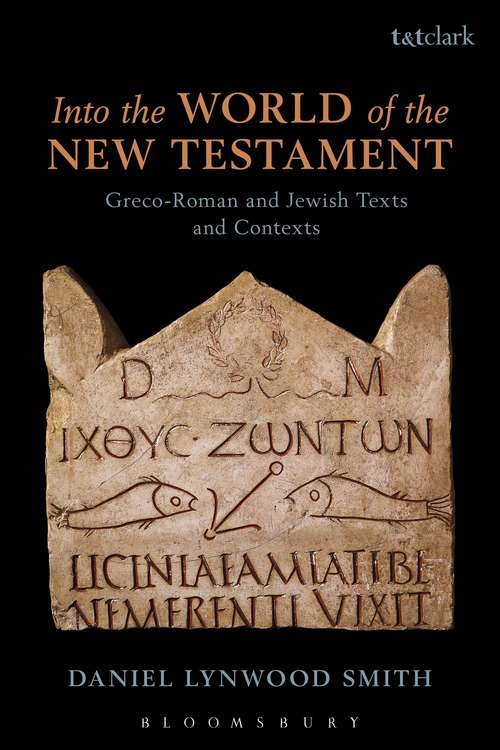 Book cover of Into the World of the New Testament: Greco-Roman and Jewish Texts and Contexts