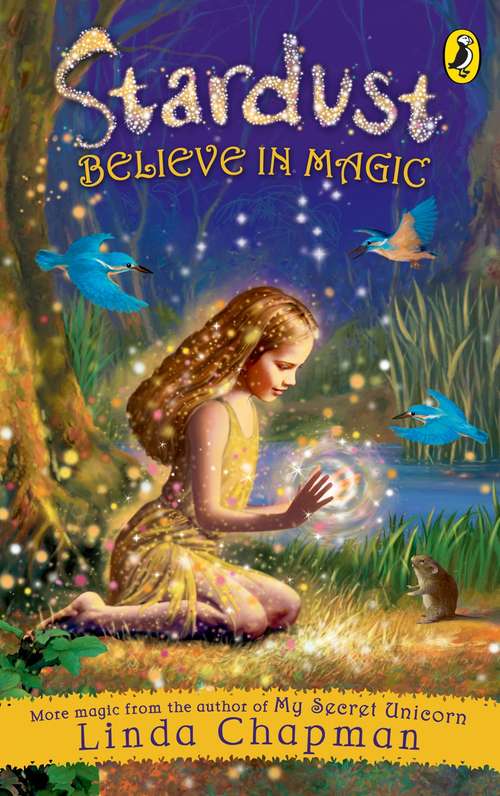 Book cover of Stardust: Believe in Magic (Stardust Ser.)