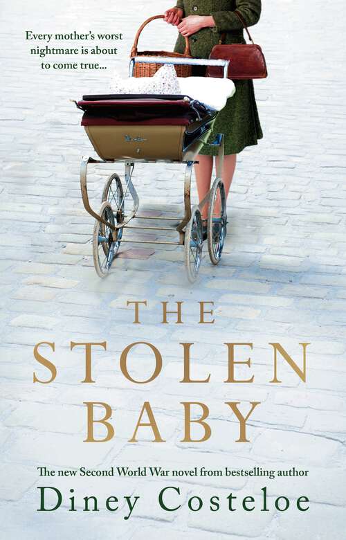 Book cover of The Stolen Baby