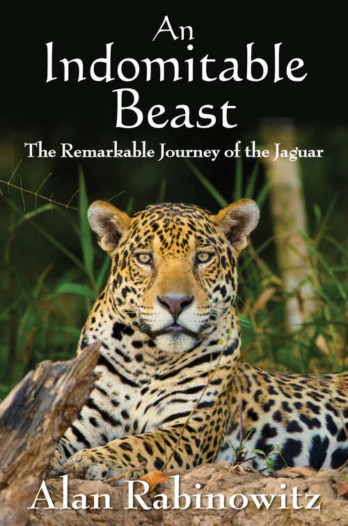 Book cover of An Indomitable Beast: The Remarkable Journey of the Jaguar (2014)