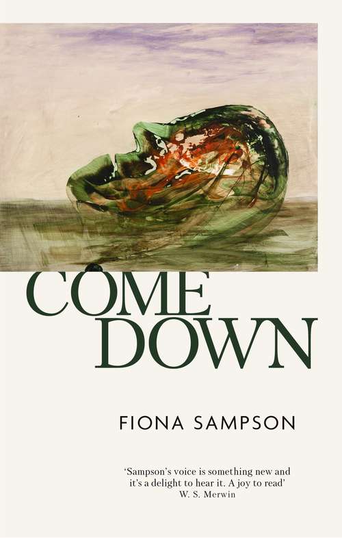 Book cover of Come Down